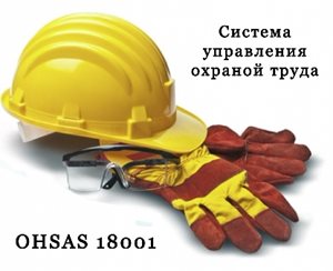 Cistema-upravlenija-ohranoj-truda.jpg