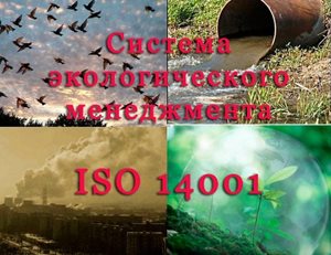 rol-ISO-14001-v-rabote-predprijatija.jpg